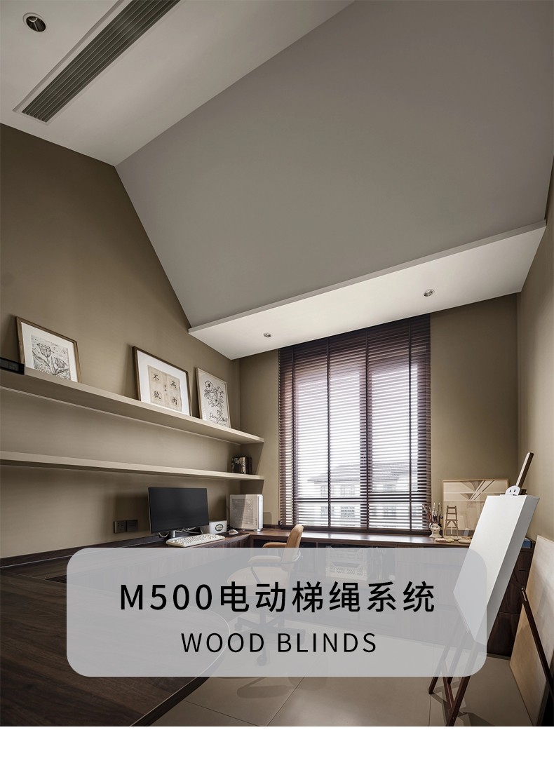M500电动梯带_01.jpg